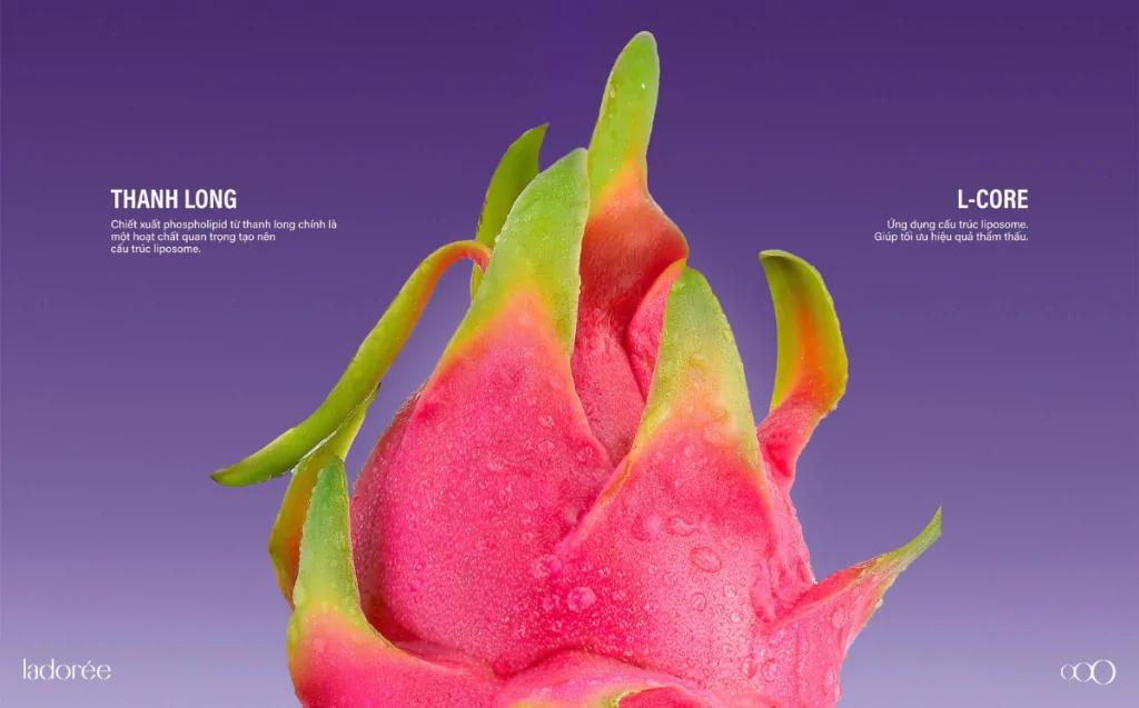 thanh-long-lcore